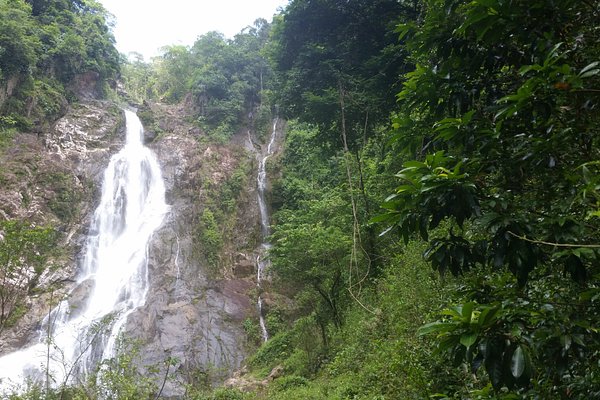 Lata kijang jelebu