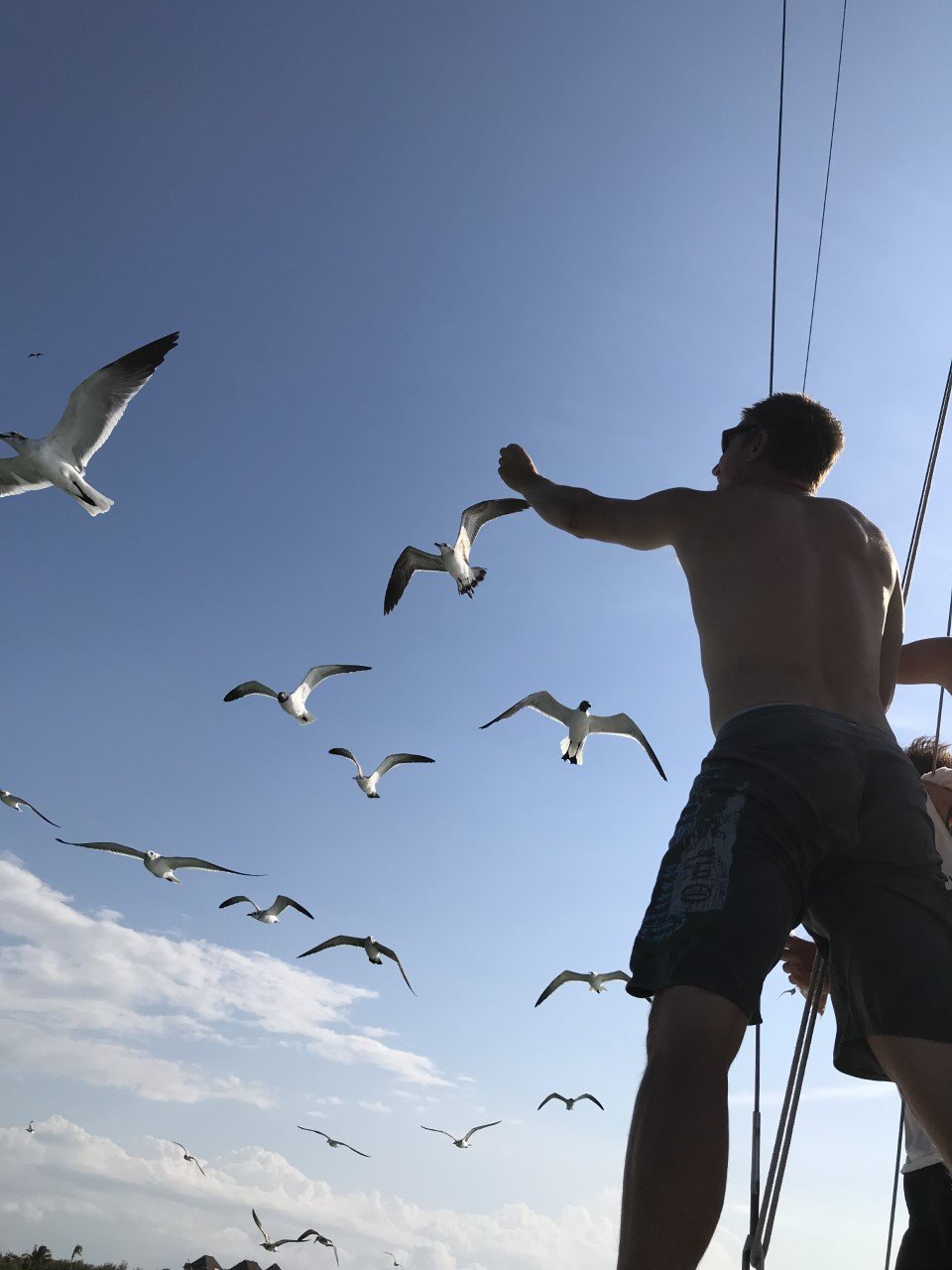 CATAMARAN TEQUILA HOLBOX : Ce Qu'il Faut Savoir Pour Votre Visite