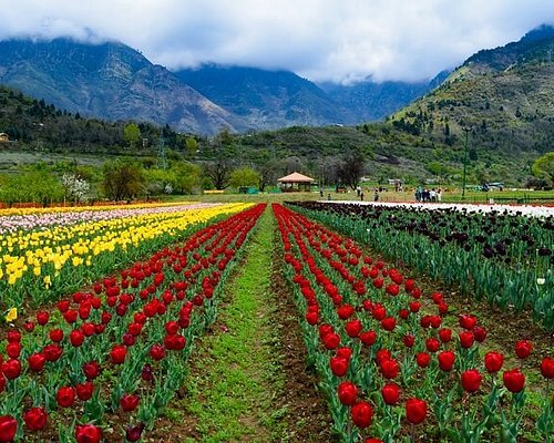 places to visit near srinagar in august