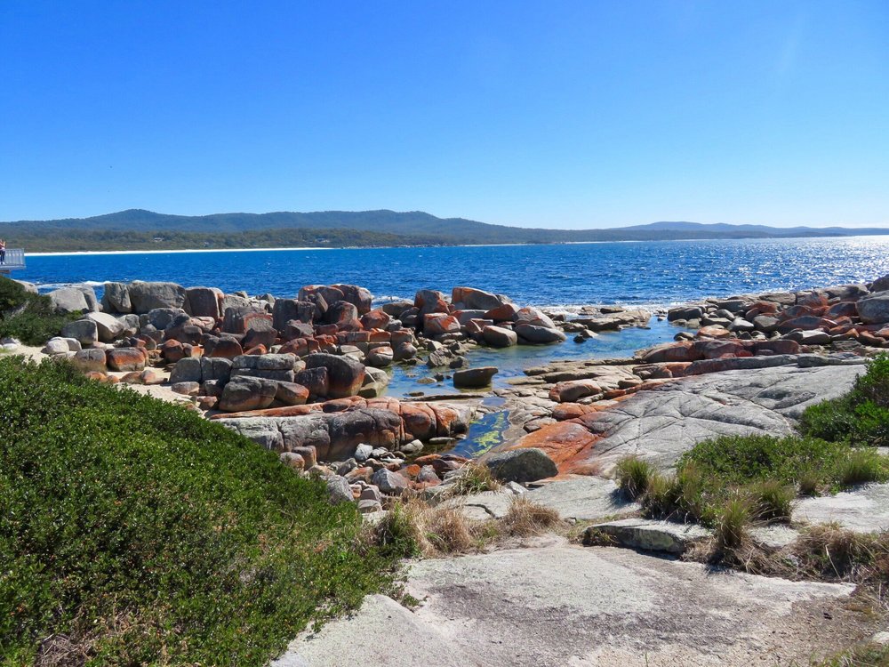 The 5 Best Things To Do In Binalong Bay 2023 With Photos Tripadvisor ...