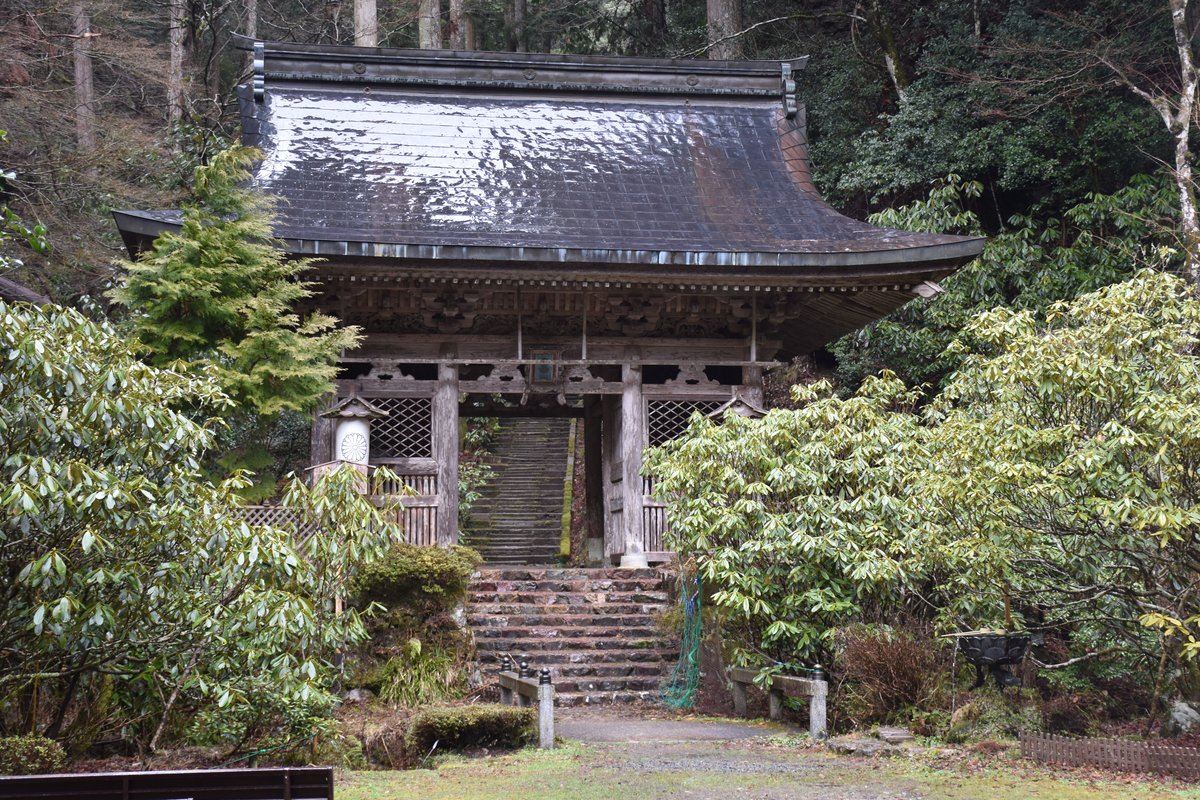 Shimyoin Temple Kyoto Tripadvisor