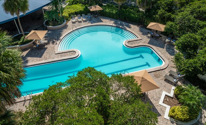 Sheraton Tampa Brandon Hotel Pool: Pictures & Reviews - Tripadvisor