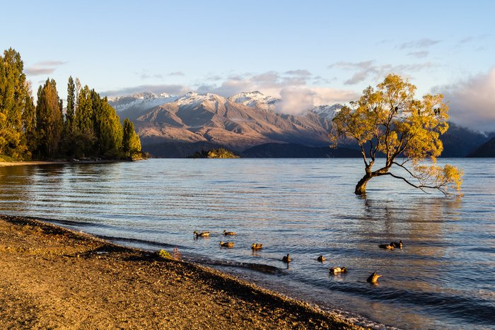 LUGGATE CREEK BED & BREAKFAST - B&B Reviews (New Zealand)