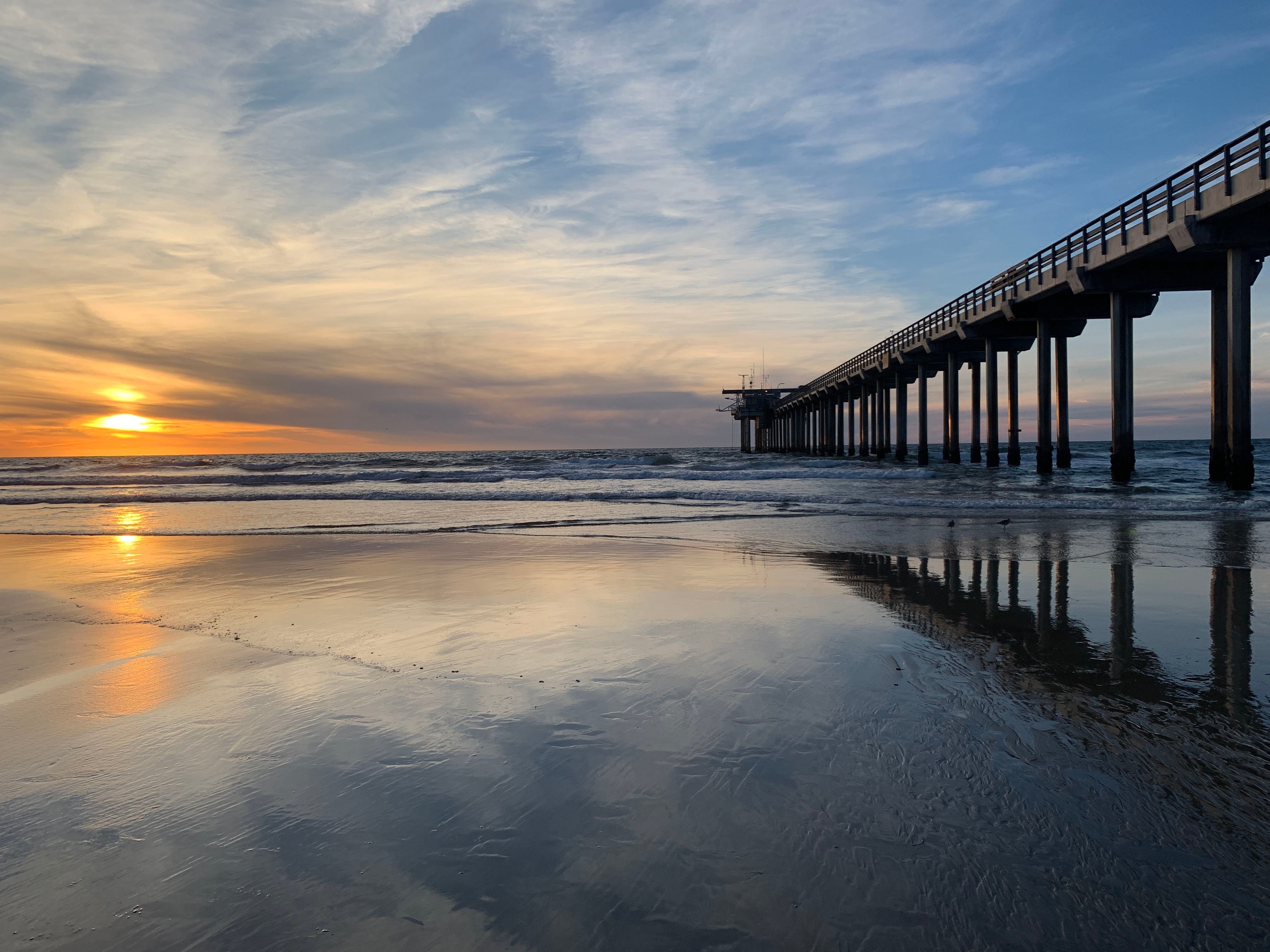 SCRIPPS BEACH Tutto quello che cè da sapere (AGGIORNATO 2023)