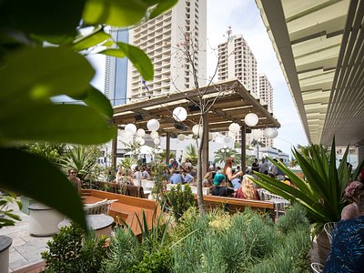 BREAKFREE IMPERIAL SURF SURFERS PARADISE (AUSTRÁLIA): 420 fotos, comparação  de preços e avaliações - Tripadvisor