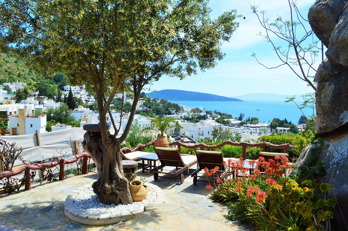 Майские каникулы - отзыв о Bodrum Holiday Resort & Spa, Бодрум, Турция -  Tripadvisor