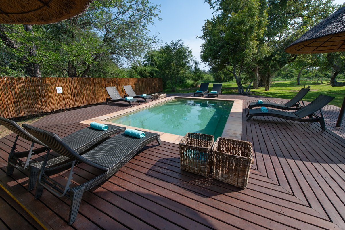 The 10 Best Kruger National Park Luxury Lodges Of 2022 With Prices Tripadvisor 4776