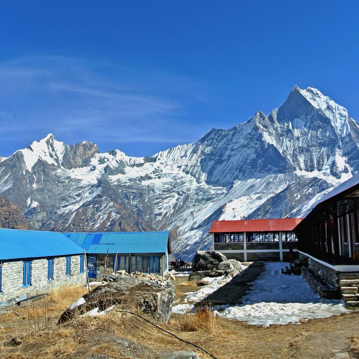 ANNAPURNA BASE CAMP TREK (2024) All You Need to Know BEFORE You Go ...