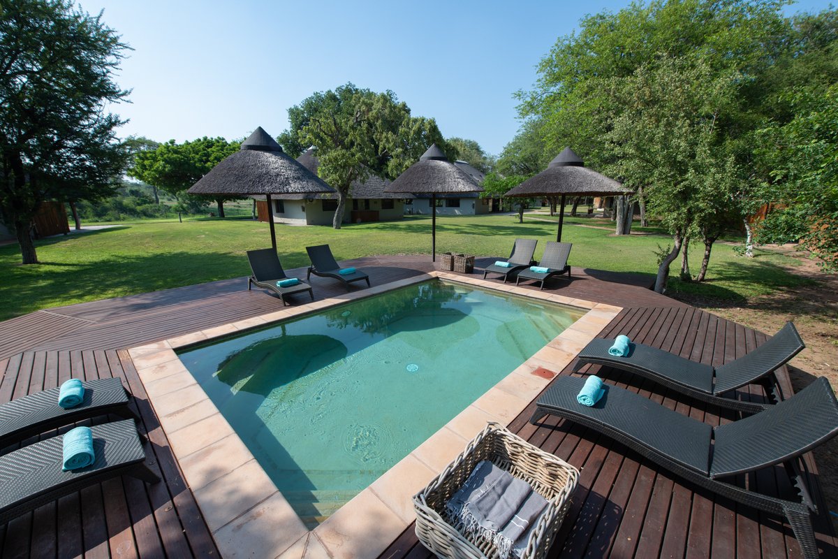 Senalala Safari Lodge Pool: Pictures & Reviews - Tripadvisor