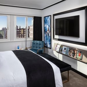Junior Suite The Level