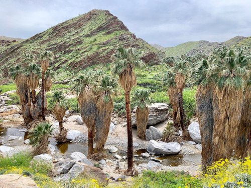 Top 10 Things to See and Do in and Around Palm Springs – Boarding Pass