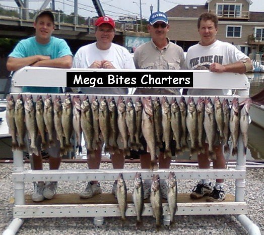 Mega Bites Charters image