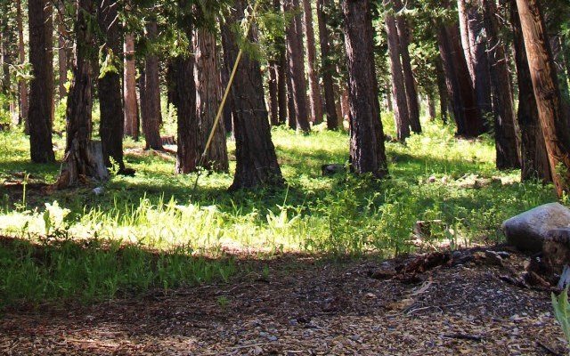 Fallen Leaf Lake Trail