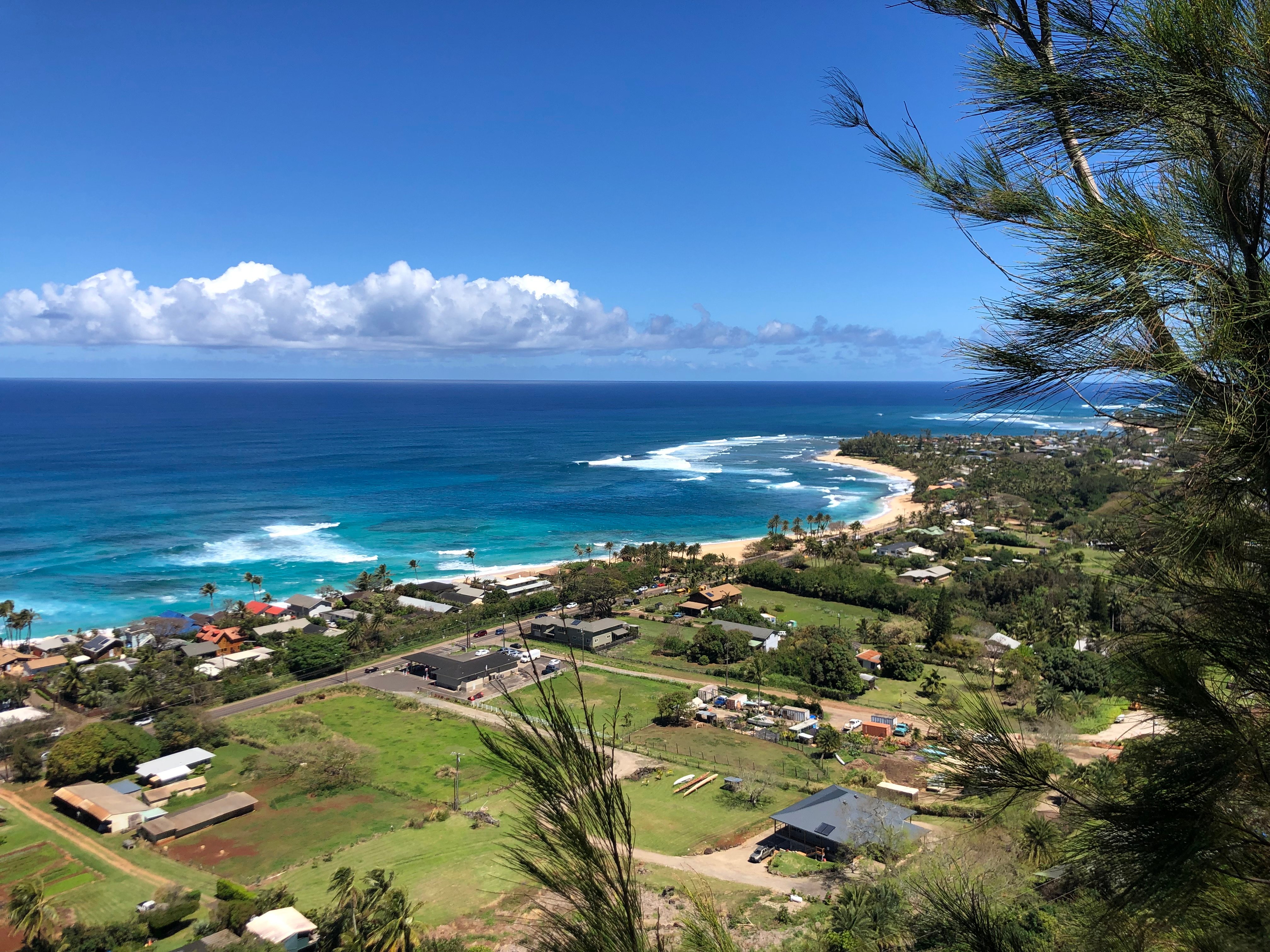 Explore the Best Tourist Attractions in North Shore Oahu