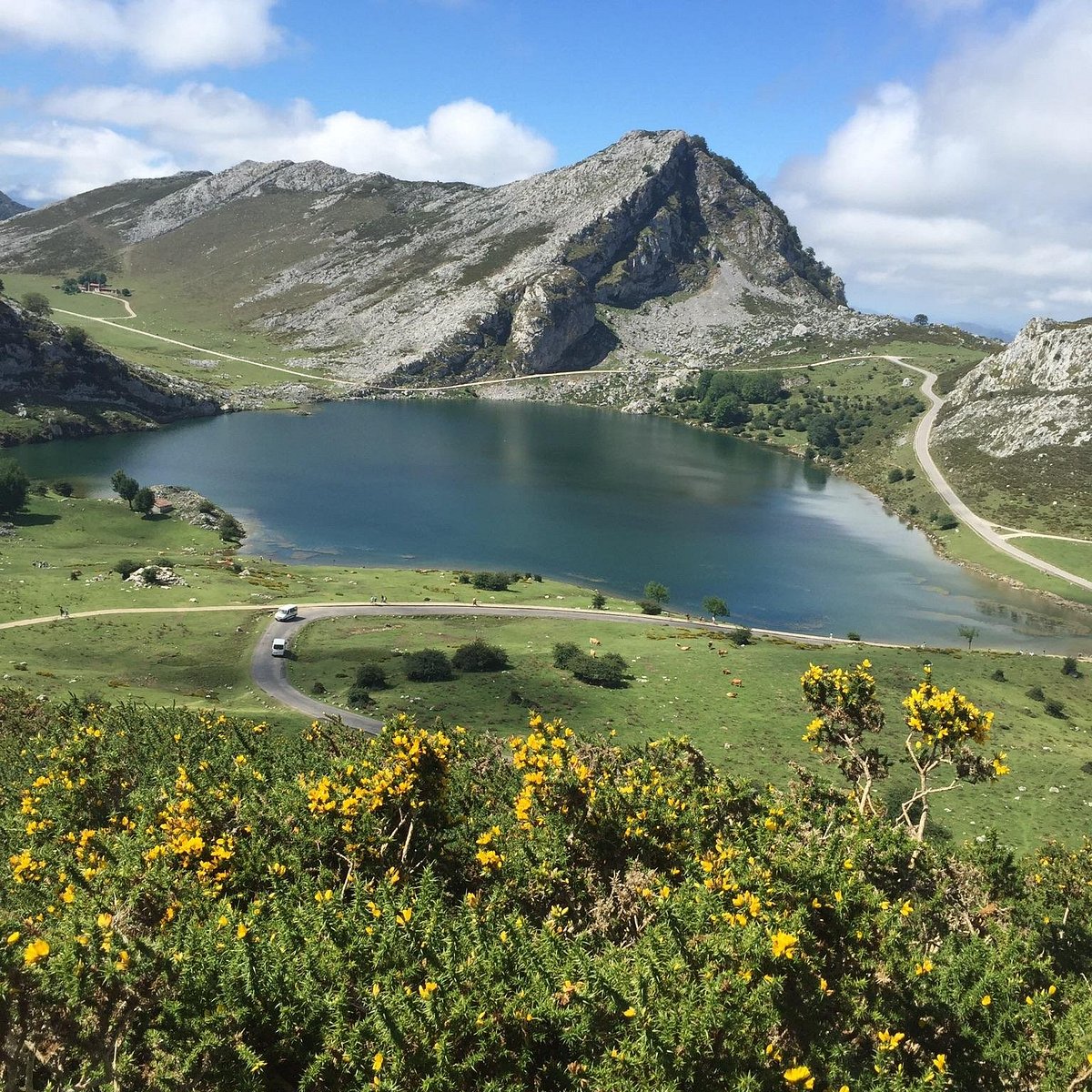 tours asturias spain