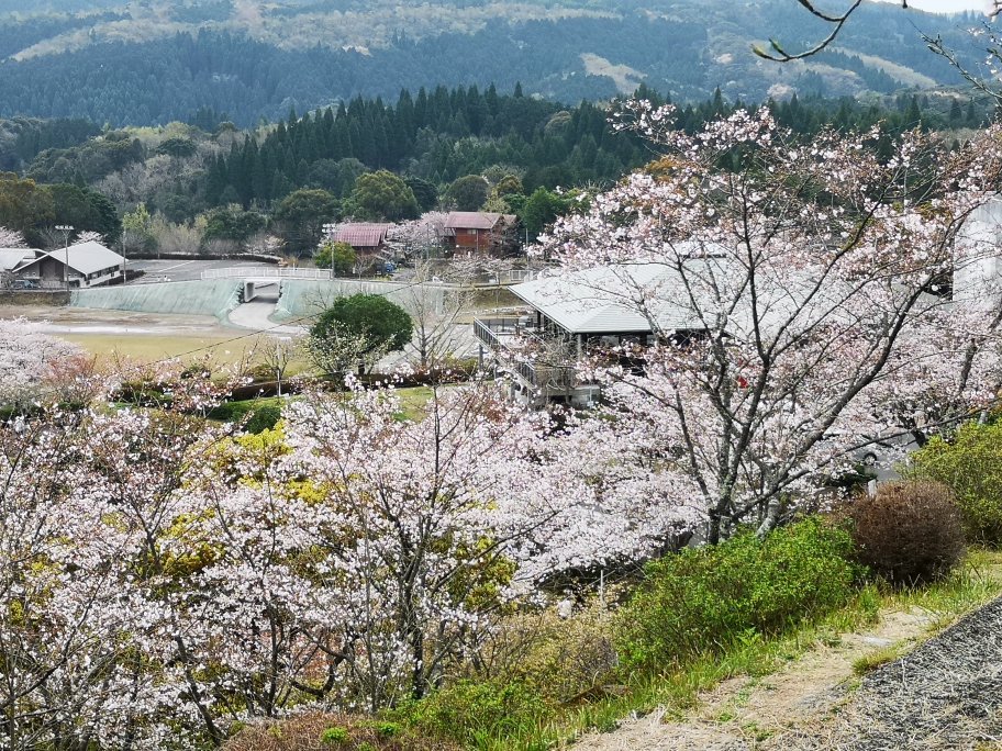 丸岡公園 人気 ペット