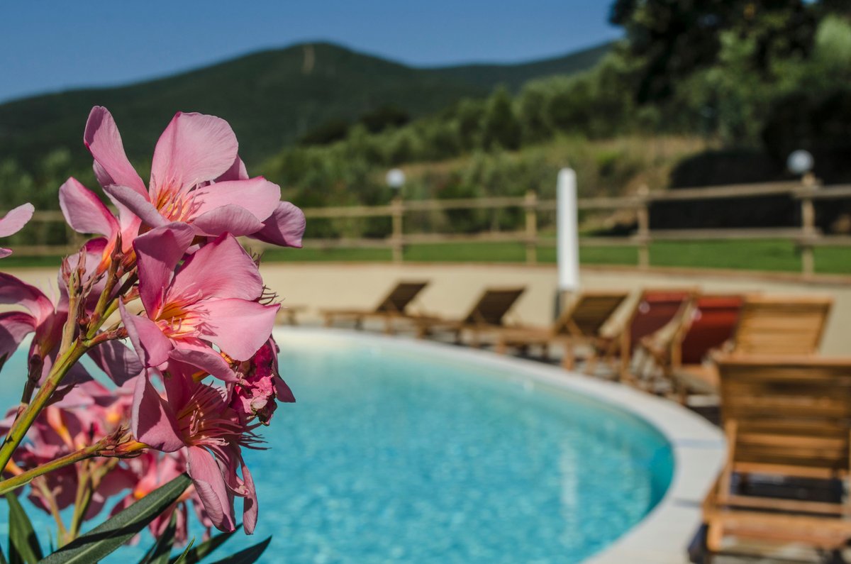 AGRITURISMO LA LUCIANA (Castiglione Della Pescaia) - Farmhouse Reviews ...