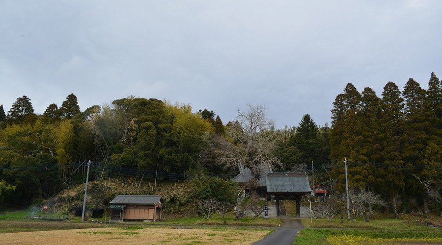 遠景では里山風