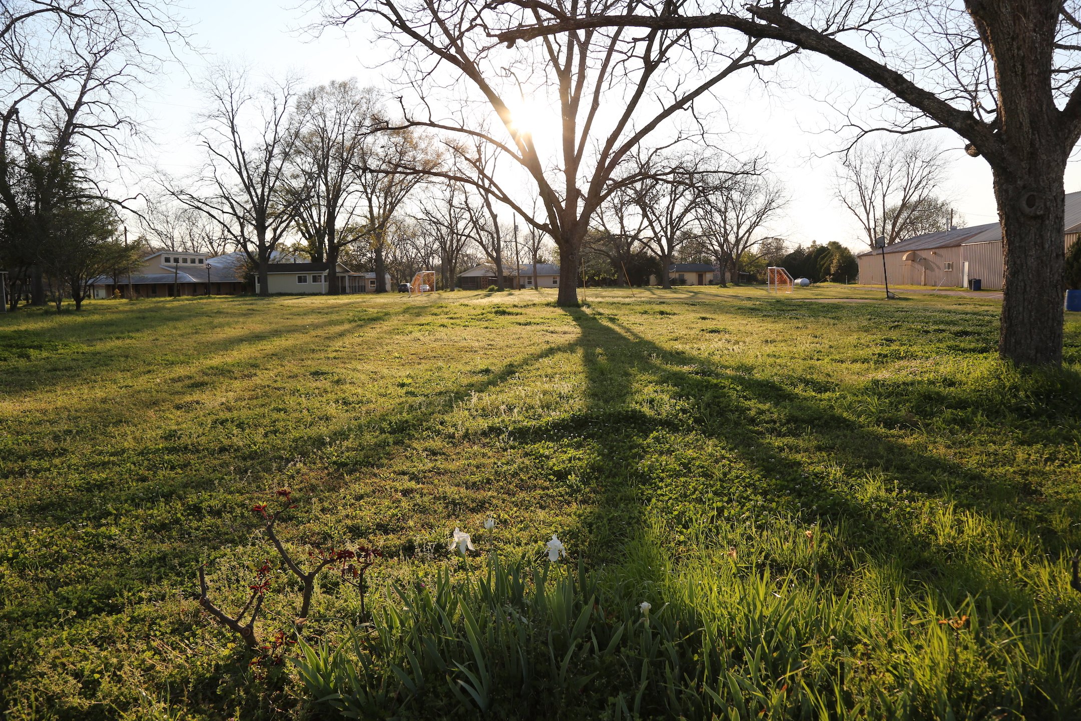 THE 15 BEST Things To Do In Americus 2024 With Photos Tripadvisor   Farm At Sunset 