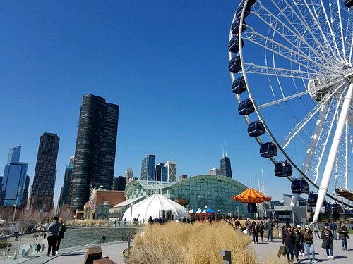 Chicago's Observation Decks - Gate to Adventures