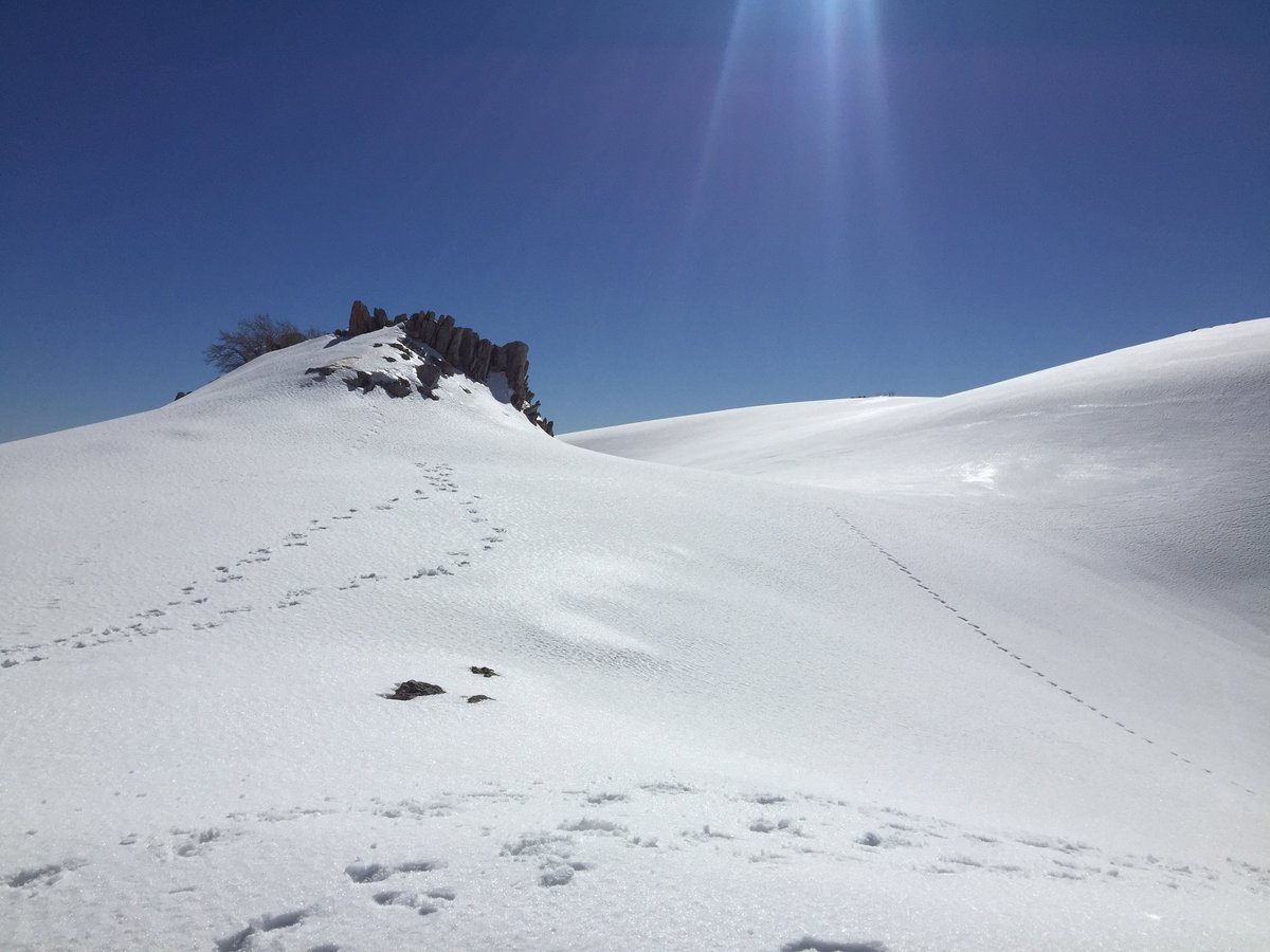 Mount Hermon, Мером-Голан: лучшие советы перед посещением - Tripadvisor