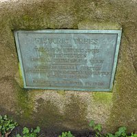 Plaque