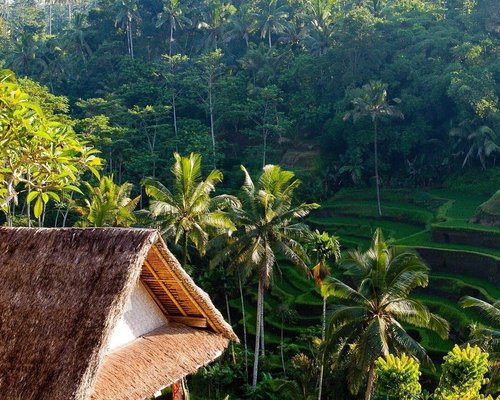 THE 15 BEST Things to Do in Bali - UPDATED 2023 - Must See Attractions ...