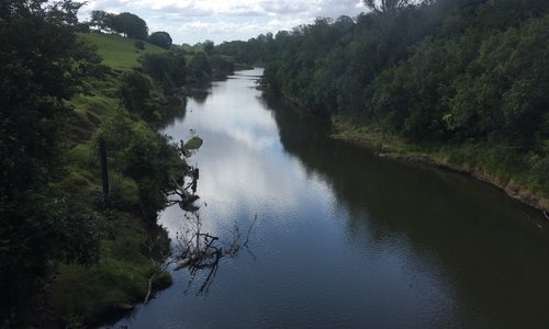 The amazing Mary River!