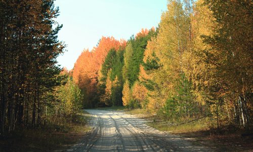 Осенняя тайга