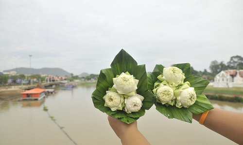 ดอกใม้งาม ฝีมือชาวแพ เเม่น้ำสะเเกกรัง