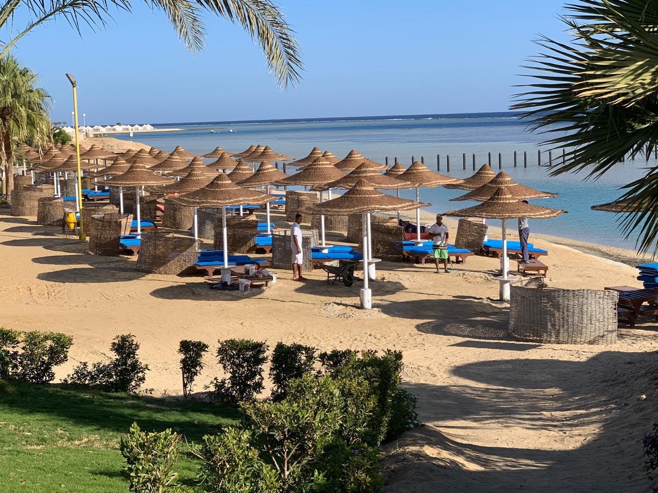 BLUE REEF UPDATED 2024 Resort Reviews & Price Comparison (Marsa Alam