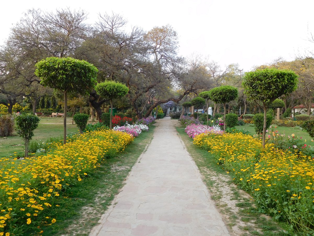 Buddha Jayanti Park: A Serene Escape in the Heart of Delhi Buddha Jayanti Park: A Serene Escape in the Heart of Delhi
