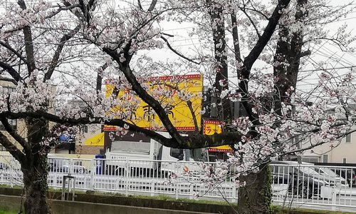 吉川 旅行 観光ガイド 年 トリップアドバイザー