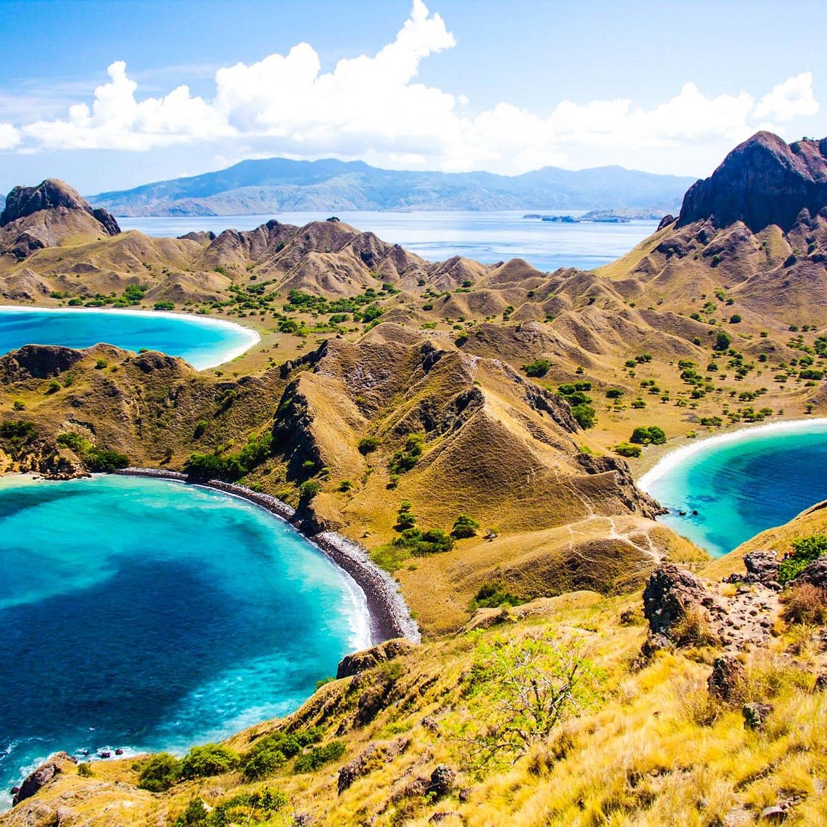 Nucalale Komodo Trip (Labuan Bajo) - All You Need to Know BEFORE You Go