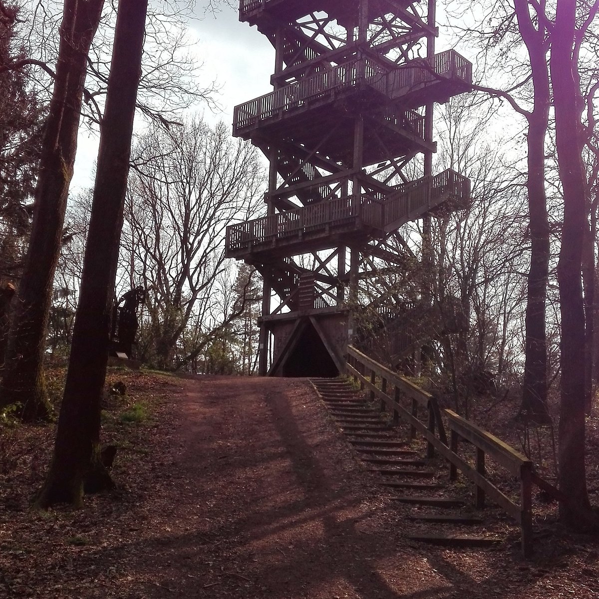 AUSSICHTSTURM MORDKUHLENBERG (Damme) Ce qu'il faut savoir pour votre