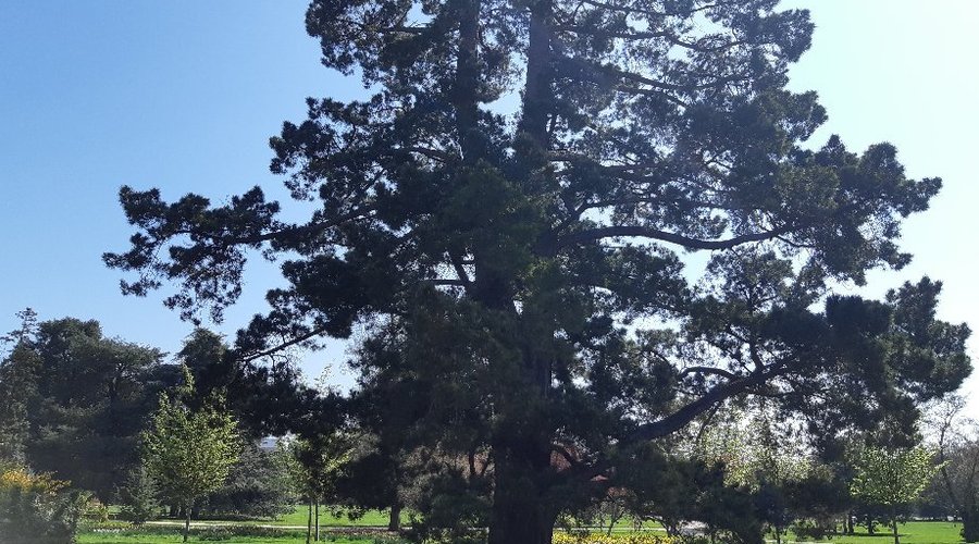 Parc de Majrepas Printemps 2019
