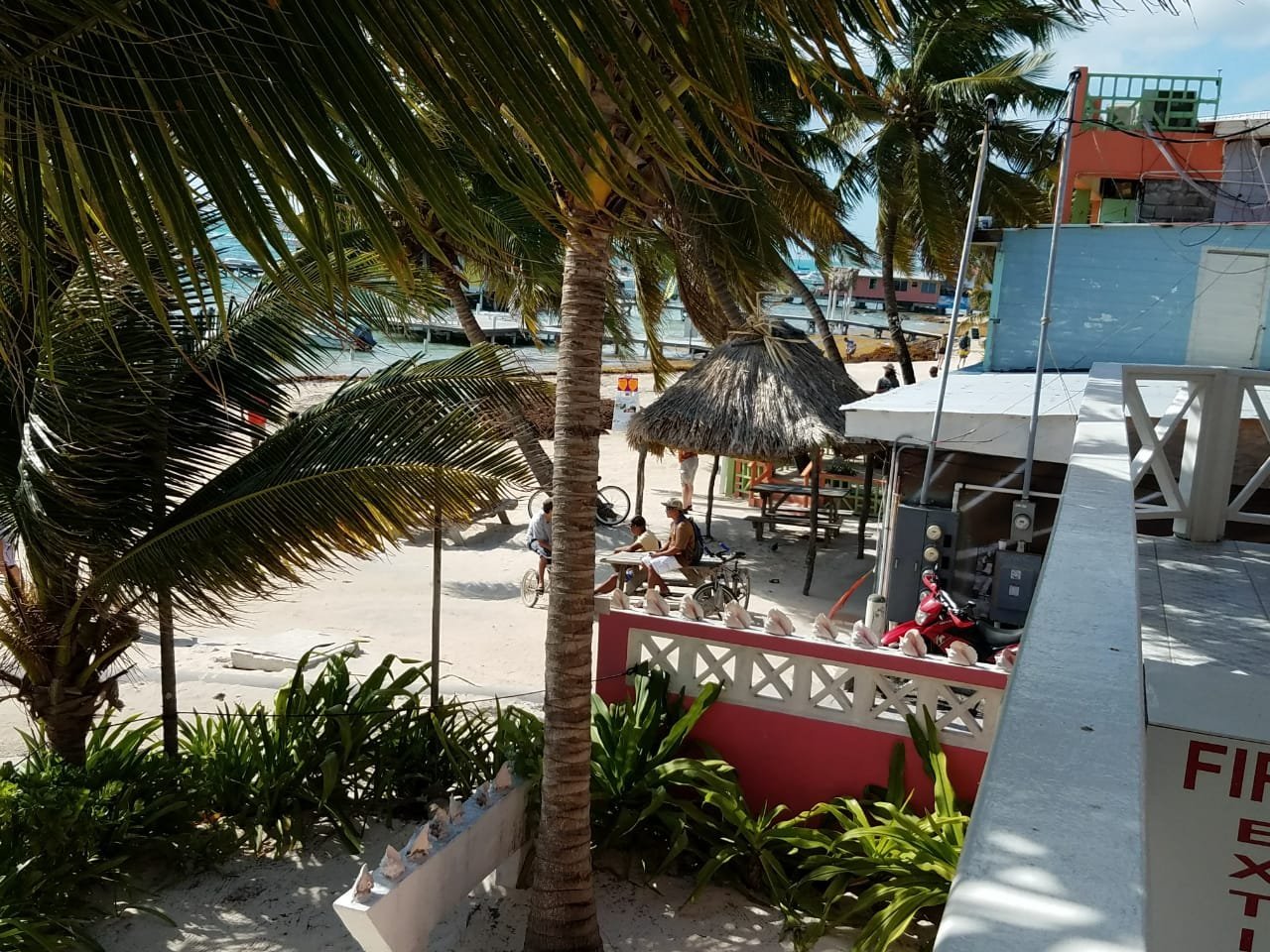 Conch Shell Inn by null