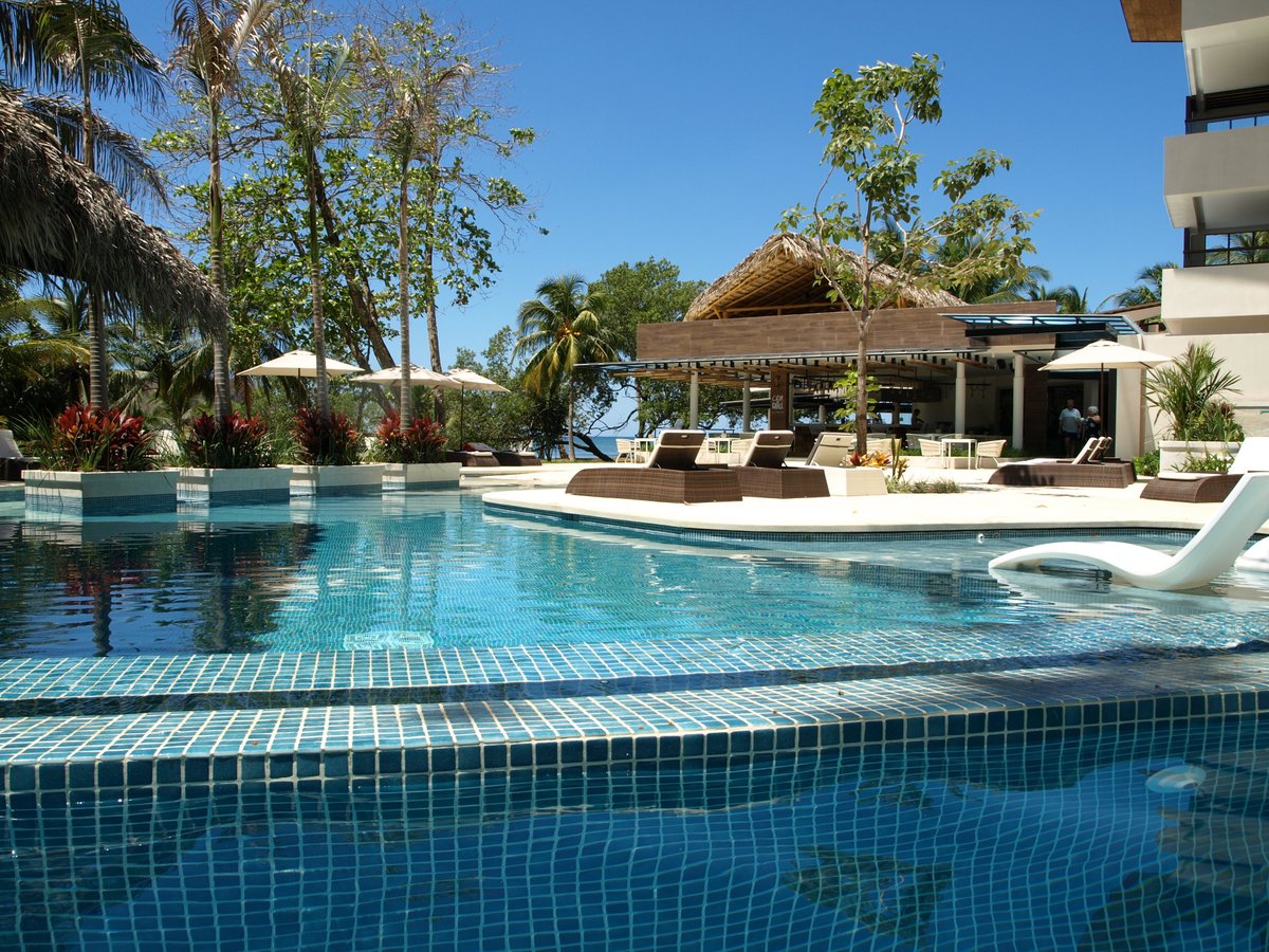 The 10 Best Hotel Deals in Playa Samara (UPDATED Jul 2022) - Tripadvisor