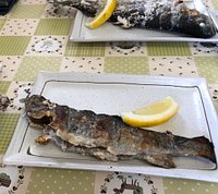 21年 白糸マス釣センター 行く前に 見どころをチェック トリップアドバイザー