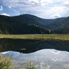 pure_Zufriedenheit