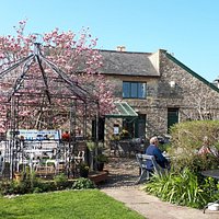 The Arts Cafe garden (2)