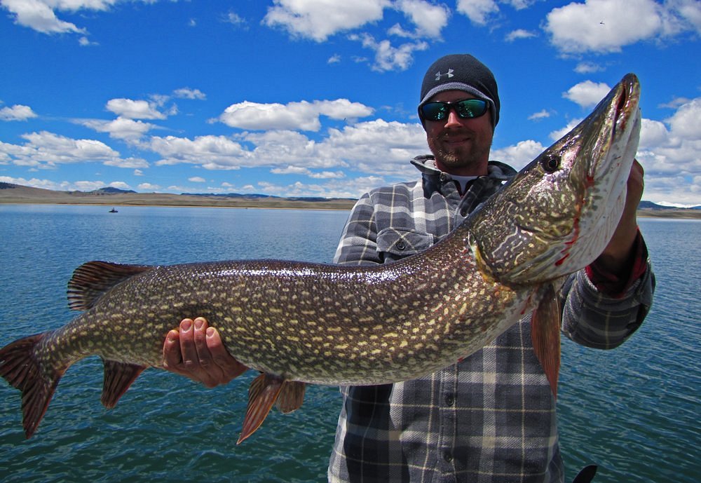 South Park's Pike and Trout - Colorado Outdoors Online