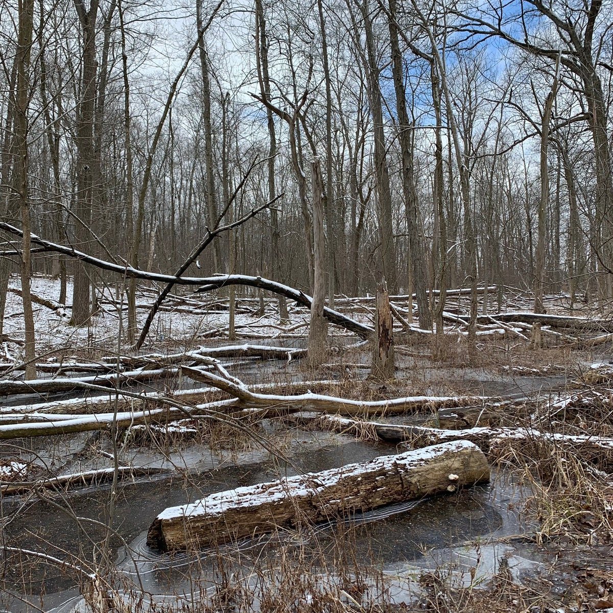 List 27+ Pictures mary beth doyle park ann arbor mi Superb