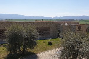 Oda ve Süit