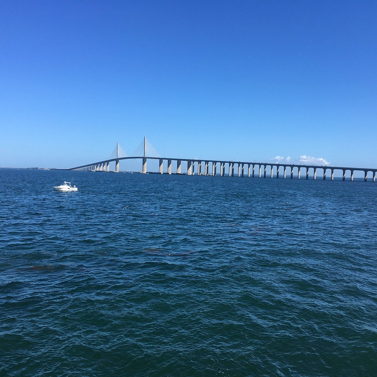 Skyway Fishing Pier State Park - All You Need to Know BEFORE You Go (2024)