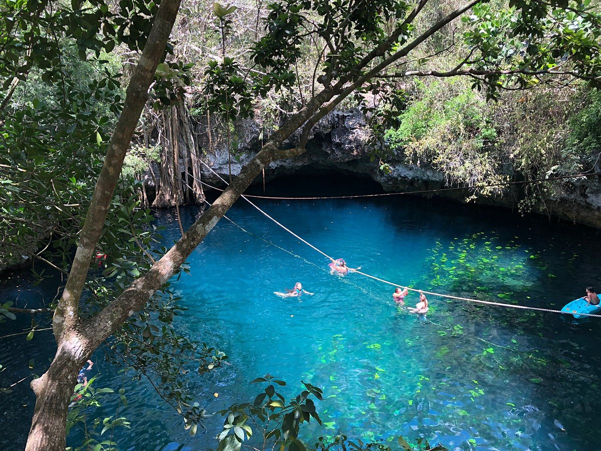 Cenote Verde Lucero en Quintana Roo: Joya escondida cerca de Cancún