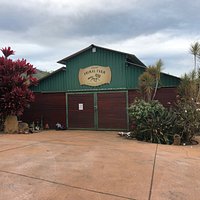Visit the Farm