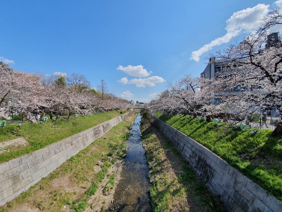 Yamazaki River All You Need to Know BEFORE You Go with Photos