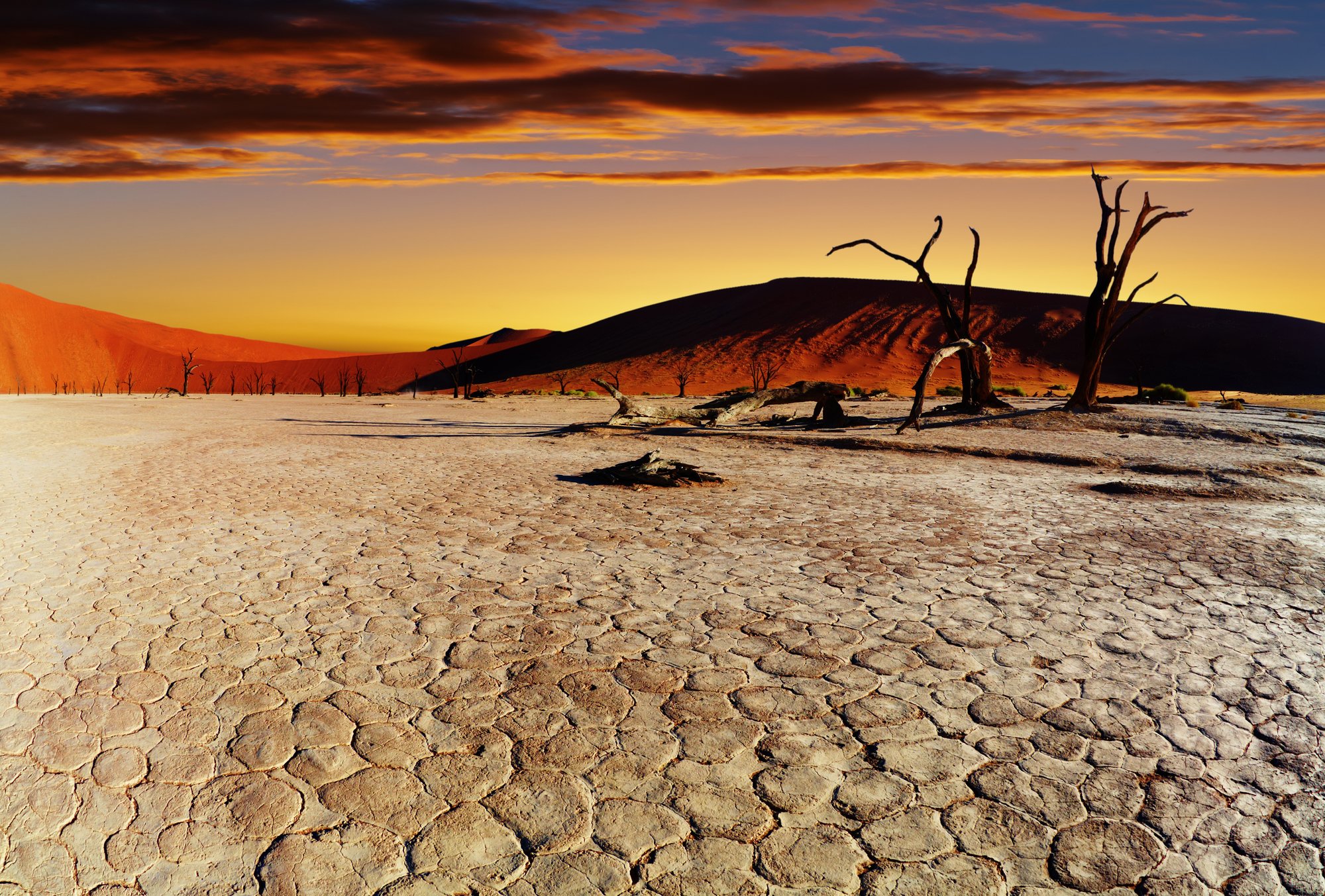 Deadvlei (Sossusvlei, Namibia) - Review - Tripadvisor