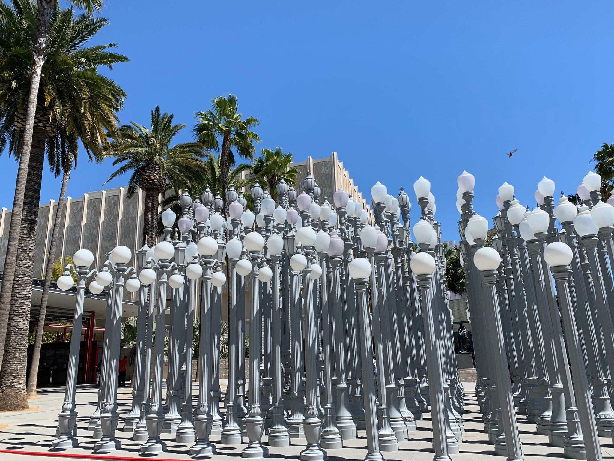 lacma urban lights